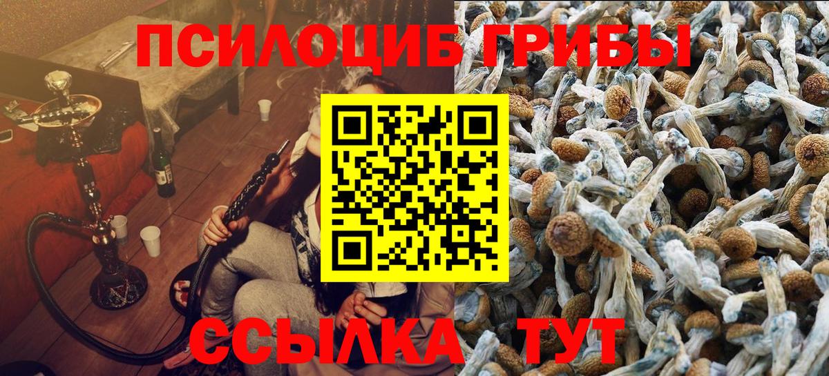 Галлюциногенные грибы MAGIC MUSHROOMS  Вход с VPN  Галлюциногенные грибы Psilocybine cubensis  Северск 