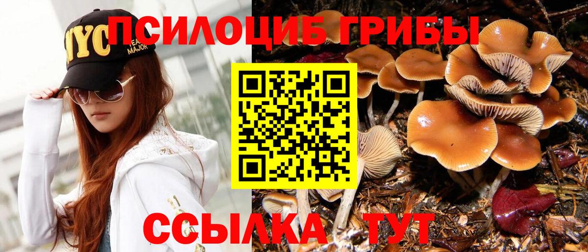 АМФЕТАМИН Северск