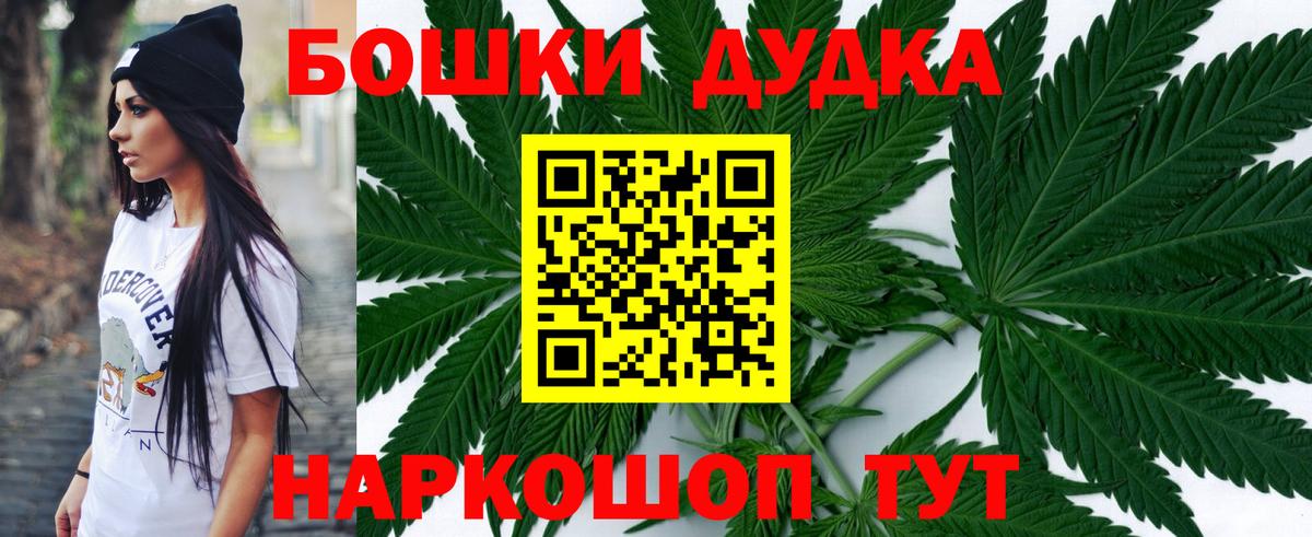 Бошки Шишки марихуана  Вход с VPN  Марихуана планчик  Северск 